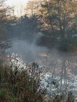 Autumn time at a river in germany photo