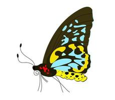 sola mariposa colorida aislada sobre fondo blanco. insecto tropical exótico con alas y antenas brillantes. vector