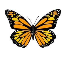 sola mariposa colorida aislada sobre fondo blanco. insecto tropical exótico con alas y antenas brillantes. vector