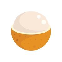Eco longan icon, flat style vector
