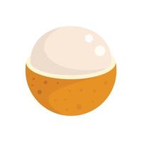 Eco longan icon, flat style vector