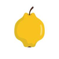 Quince icon, flat style vector