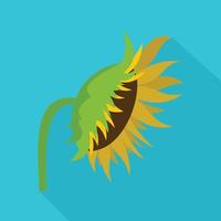 Sunflower icon, flat style vector