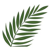 Fern frond leaf icon, cartoon style vector