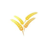 Wheat logo vector icon illustration