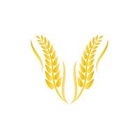 Wheat logo vector icon illustration