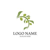 Extra virgin olive oil logo design vector