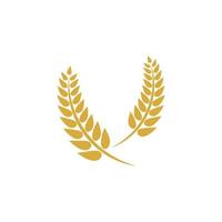 Wheat logo vector icon illustration