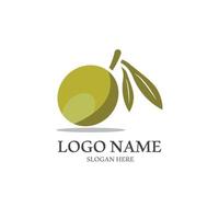 diseño de logotipo de aceite de oliva virgen extra vector