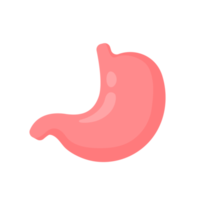 stomaco icona. il stomaco contiene gastrico succo per aiuto digestione e Ascend per il intestino. png