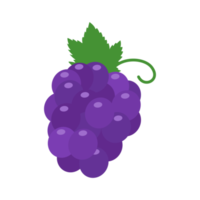 uvas roxas. fruta doce saudável para vegetarianos. png