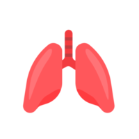 ícone do pulmão. pulmões ajudam a respirar oxigênio no corpo humano. conceito de cuidado corporal png