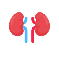 Kidney icon. A red kidney resembling a bean. Serves to filter waste to collect the gastric ulcer. png
