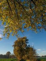 Autumn time at a river in germany photo