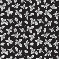 Basil Pattern. Italian herbs.A sprig of marjoram vector