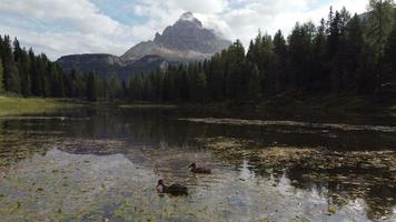 lac d'antorno et tre cime di lavaredo pics reflet dans les dolomites italiennes vue aérienne, italie video