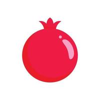 Pomegranate icon, flat style vector