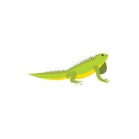 Chameleon icon in flat style vector