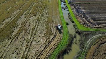 vista aérea de drones de la cosecha del arroz por tractor de máquina en un vasto campo con un río al lado. agricultura industrial reserva natural del estuario del tajo en lisboa, portugal. arroz autóctono de portugal video