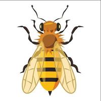 icono de abeja de insectos, estilo de dibujos animados vector