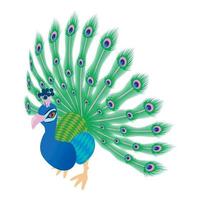 Peacock icon, cartoon style vector