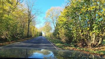 Low angle view of a driving car into the trees passing by. video