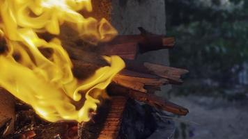flammes de feu de bois de chêne pour barbecue video