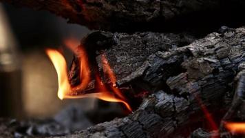 llamas de fuego de leña de roble para barbacoa video