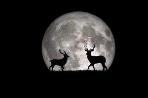 la silueta del ciervo nocturno contra el telón de fondo de un gran elemento lunar de la imagen está decorada por la nasa foto