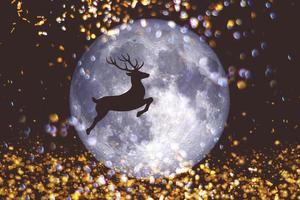 background for christmas Reindeer running in the sky with the moon on a black background photo