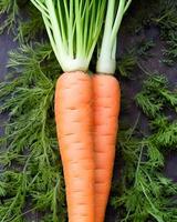 Fresh Carrot Vegetable photo