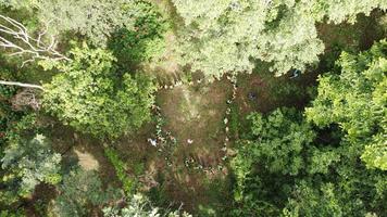 Aerial view of forest in thailand. photo