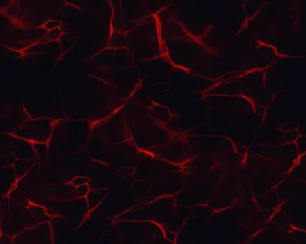 Abstract background of particles. photo