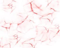 Abstract background of particles. photo