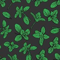 Basil Seamless Pattern. Italian herbs. photo