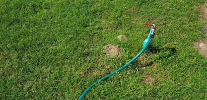 grifo con manguera para regar plantas en campo de hierba verde o césped con espacio para copiar. herramientas para hacer jardín, papel tapiz natural y belleza de la naturaleza. foto