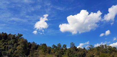 hermoso cielo azul con nubes blancas y árboles verdes, bosques o junglas con espacio de policía arriba para agregar texto. belleza de la naturaleza y papel tapiz natural. aire fresco y vista de cloudscape. foto