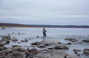 rocky shore with swimming ducks, walk along the shore photo