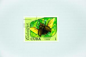 1988 Cuba, elephant beetle postage stamp, stamp collection photo