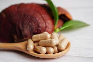 Lingzhi or Reishi mushroom with capsules, organic natural healthy food. photo