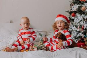 children in red and white pajamas sitting in bed share Christmas sweets with each other and their dog. brother and sister, boy and girl celebrate the new year. space for text. High quality photo