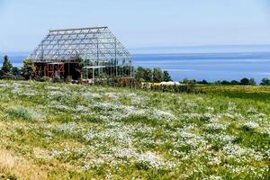 paisaje en suecia, europa foto