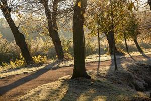 autumn at a castle in westphalia photo