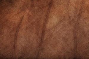la textura de la piel marrón se cierra como fondo. en pantalla completa. foto