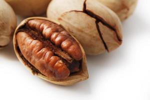 Pecan isolated on white background. Close-up, macro. A nut in a shell. photo