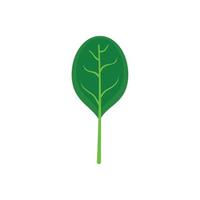 Spinach leave with shadow icon, flat style vector