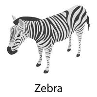 Zebra icon, isometric style vector