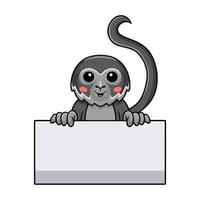 Cute black spider monkey cartoon with blank sign vector