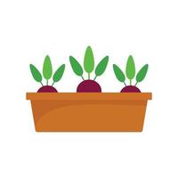 Beetroot in ground pot icon, flat style vector