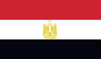 Egypt flag image vector